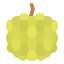 Custard apple icon 64x64