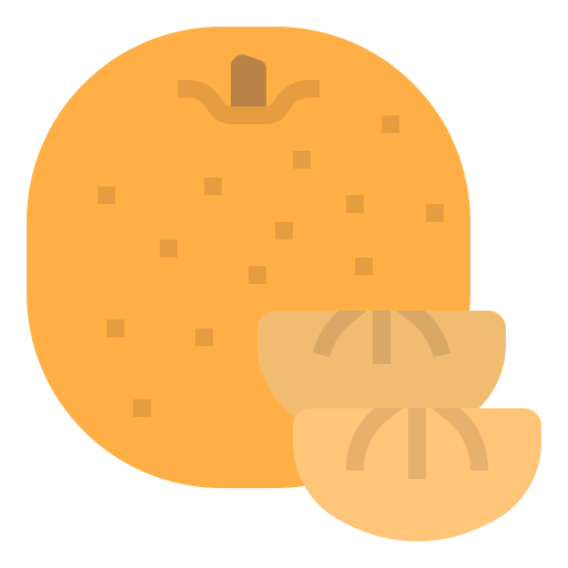 Orange icon