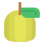 Guava icon 64x64