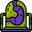 Organ 图标 64x64