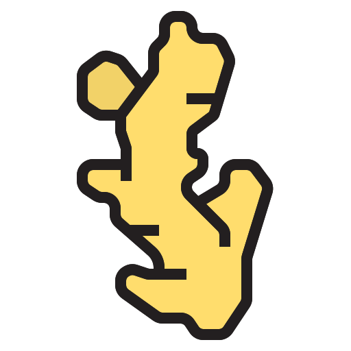 Ginger icon