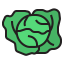 Cabbage 图标 64x64
