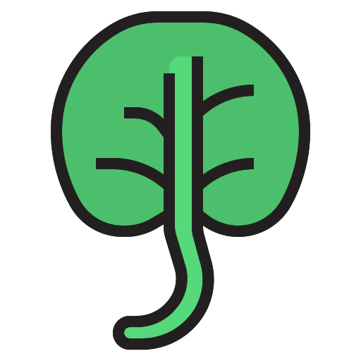 Spinach 图标