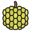 Custard apple icône 64x64