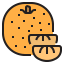 Orange icône 64x64