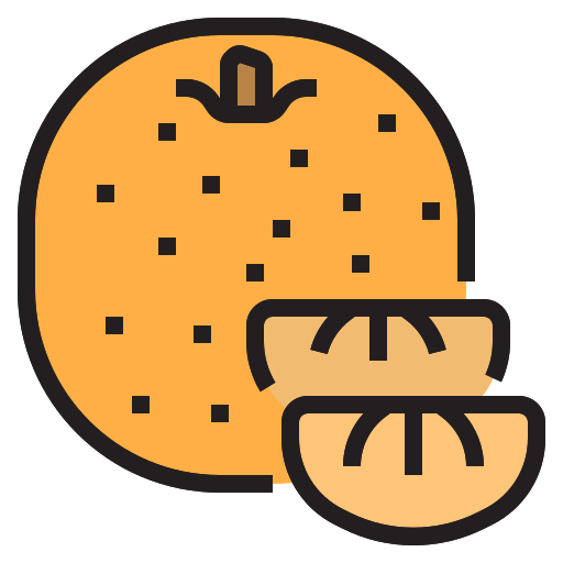Orange icon
