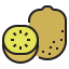 Kiwi icône 64x64
