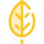 Leaf icon 64x64