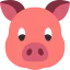 Pig icon 64x64
