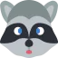 Racoon icon 64x64