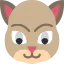 Cat icon 64x64