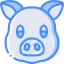Pig icon 64x64
