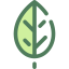 Leaf icon 64x64