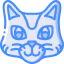 Cat icon 64x64
