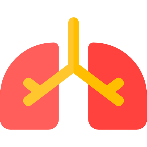 Lungs icône