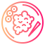 Fried rice icon 64x64