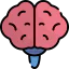 Brain icône 64x64