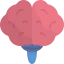 Мозг иконка 64x64