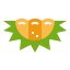 Durian アイコン 64x64