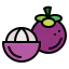 Mangosteen アイコン 64x64
