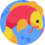 Carps icon 64x64