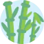 Bamboo icon 64x64