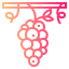 Grapes icon 64x64