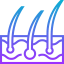 Epidermis アイコン 64x64
