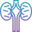 Kidneys アイコン 64x64