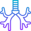 Bronchus アイコン 64x64