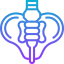 Pelvis アイコン 64x64