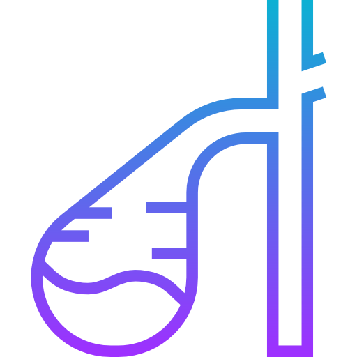 Gallbladder icon