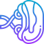 Spleen アイコン 64x64