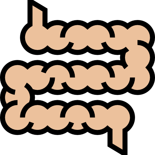 Intestine 图标