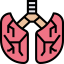 Lungs アイコン 64x64