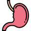 Stomach アイコン 64x64