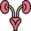 Kidneys アイコン 64x64