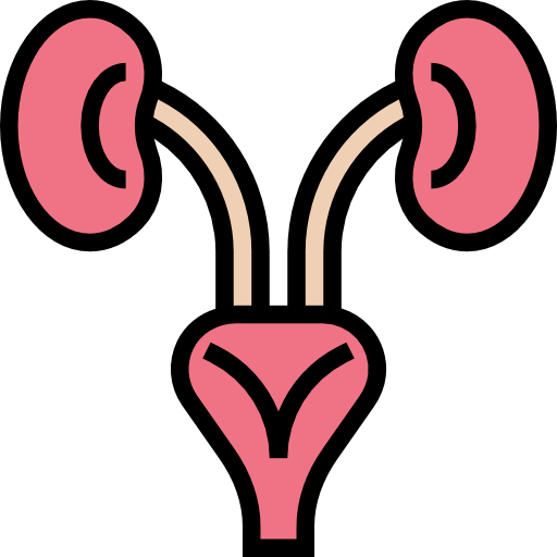 Kidneys 图标