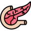 Pancreas アイコン 64x64