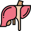 Liver アイコン 64x64