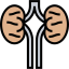 Kidneys アイコン 64x64