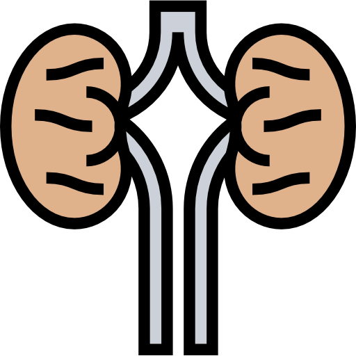 Kidneys Ikona