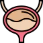 Bladder 图标 64x64