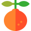 Orange 图标 64x64