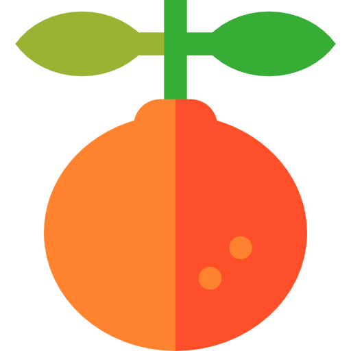 Orange icon