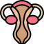 Uterus アイコン 64x64