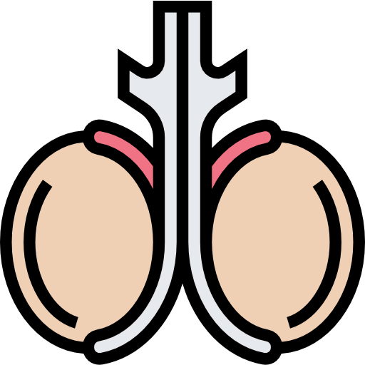 Testicles icon
