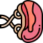 Spleen アイコン 64x64