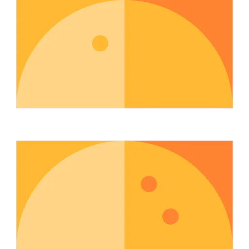 Spring rolls icon