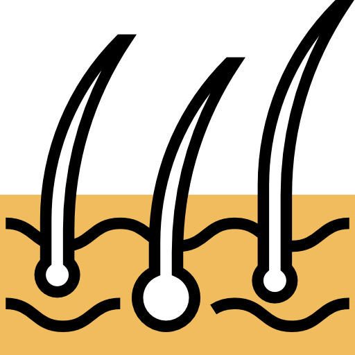Epidermis biểu tượng